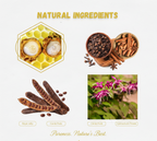 Turkey Jam Strip Box | (12 STRIPS)